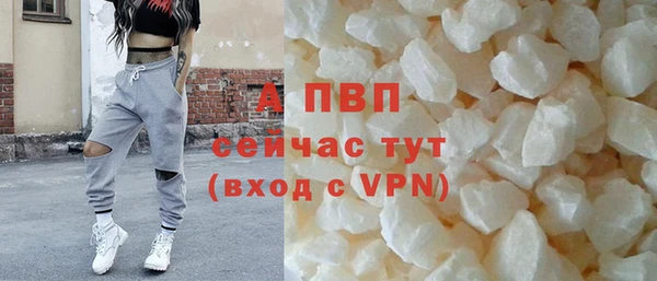 твердый Абаза