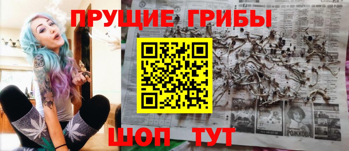Псилоцибиновые грибы Cubensis  Вход с VPN  Аксай 
