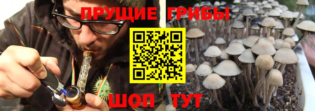 Псилоцибиновые грибы мицелий Аксай